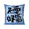 Estilo NewIns Cores Múltiplas Desenho Animado Manta Almofada de Lançar Duas em Uma Simples Fresca Quarto Almofada de Apoio para Sofá Logo Personalizado por Imagem