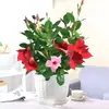 Florales Aromáticos en Maceta de Ratán, Brotes Doble Felicidad de Ratán con Capullos, Enredaderas Trepadoras, Florecen en Todas las Estaciones, Plantas Verdes Fáciles de Cuidar