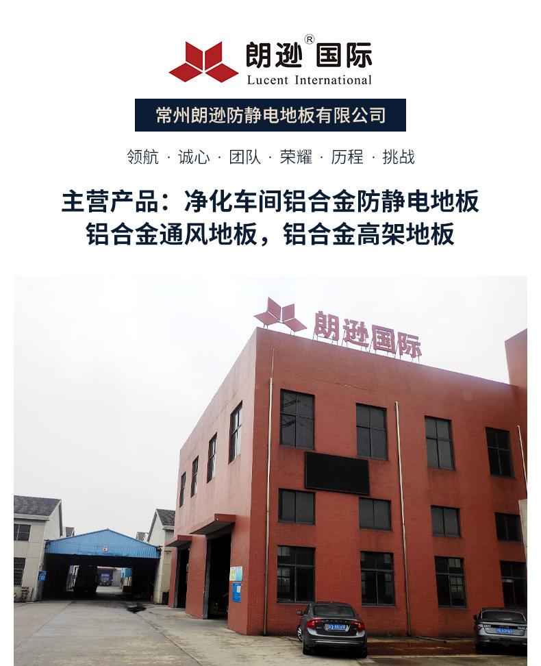 详情--常州朗逊防静电地板有限公司-1_02.jpg