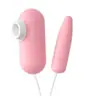 Huevo Doble Vibrador USB Lai Le para Mujeres, Alimentación Directa por Enchufe, Juguete Sexual para Adultos con Conector Hembra B, Dropshipping