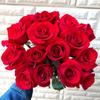 Balcón de Jugo Planta en Maceta Rosa con Capullos Florece Todo el Año Flor de Rosa Rosales Fáciles de Cultivar con Aroma Frutal