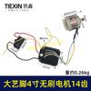 Ensamblaje de Motor para Motosierra Eléctrica sin Escobillas de 4 pulgadas, 6 pulgadas, 8 pulgadas con Conector de Pin Grande Motor para Sierra de una Mano 02644