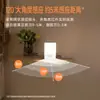 Luminária de Chão Três em Um Transfronteiriça com Sensor Inteligente de Presença Humana, Luminária de Parede para Sala de Estar e Corredor, Luz Noturna Embutida no Rodapé