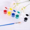 5ml 12 Cores 6 Conectadas Tinta Acrílica Aquarela DIY Grafite Manual Pipa Boneco de Gesso Tira de Tinta Conjunto