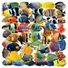 50 Pegatinas Transparentes de Peces Marinos para Fundas de Teléfono, Materiales de Diario, Equipaje, Botellas de Agua, Acuarios y Pegatinas Decorativas