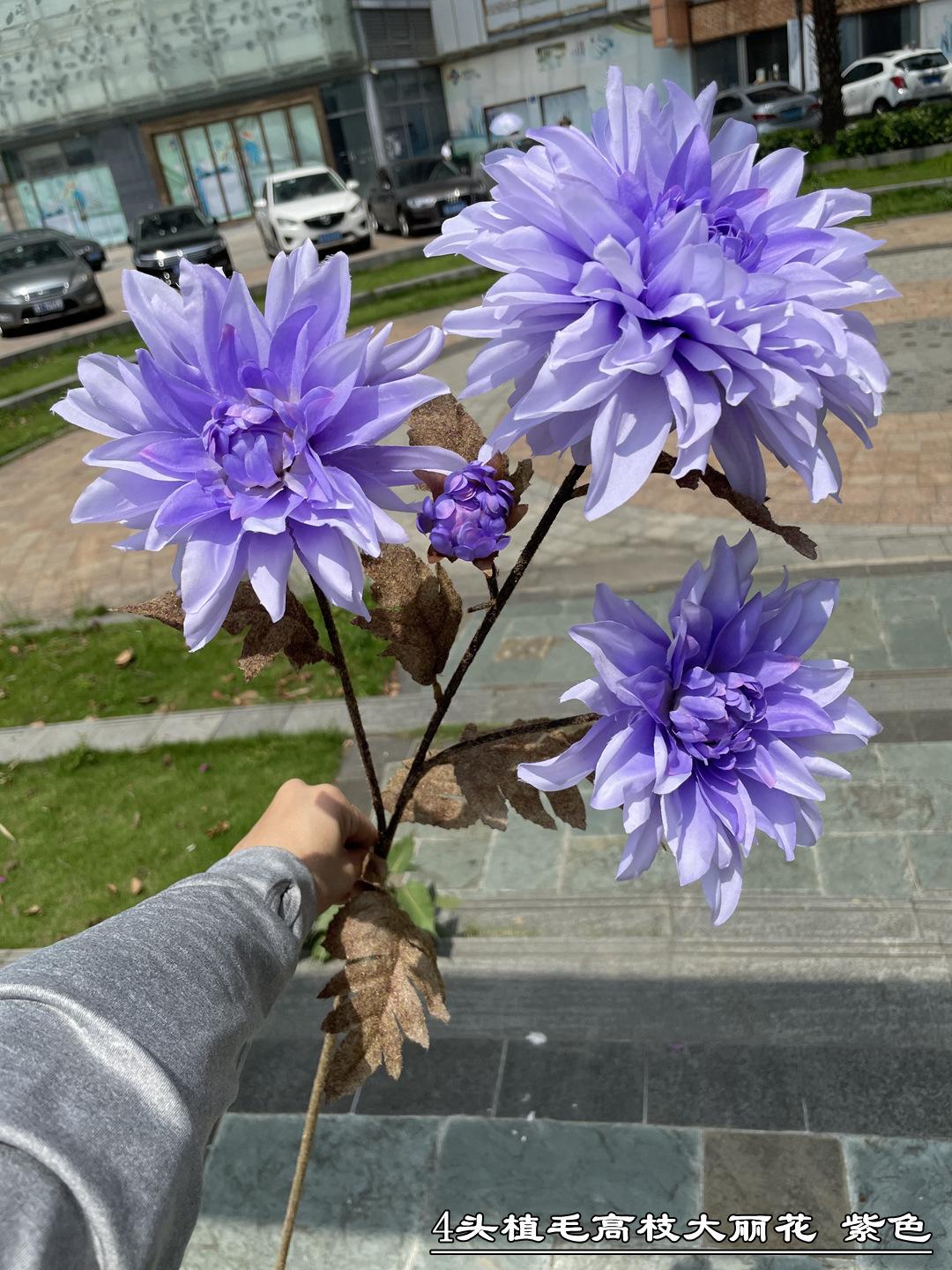 微信图片_20210519182311_副本.jpg