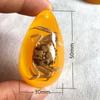 Colgante de Ámbar con Espécimen de Insecto Real Ámbar Insecto Gota de Agua con Forma de Insecto Escorpión Mariposa Abeja Flor Ámbar Transmisión en Vivo Venta al por Mayor