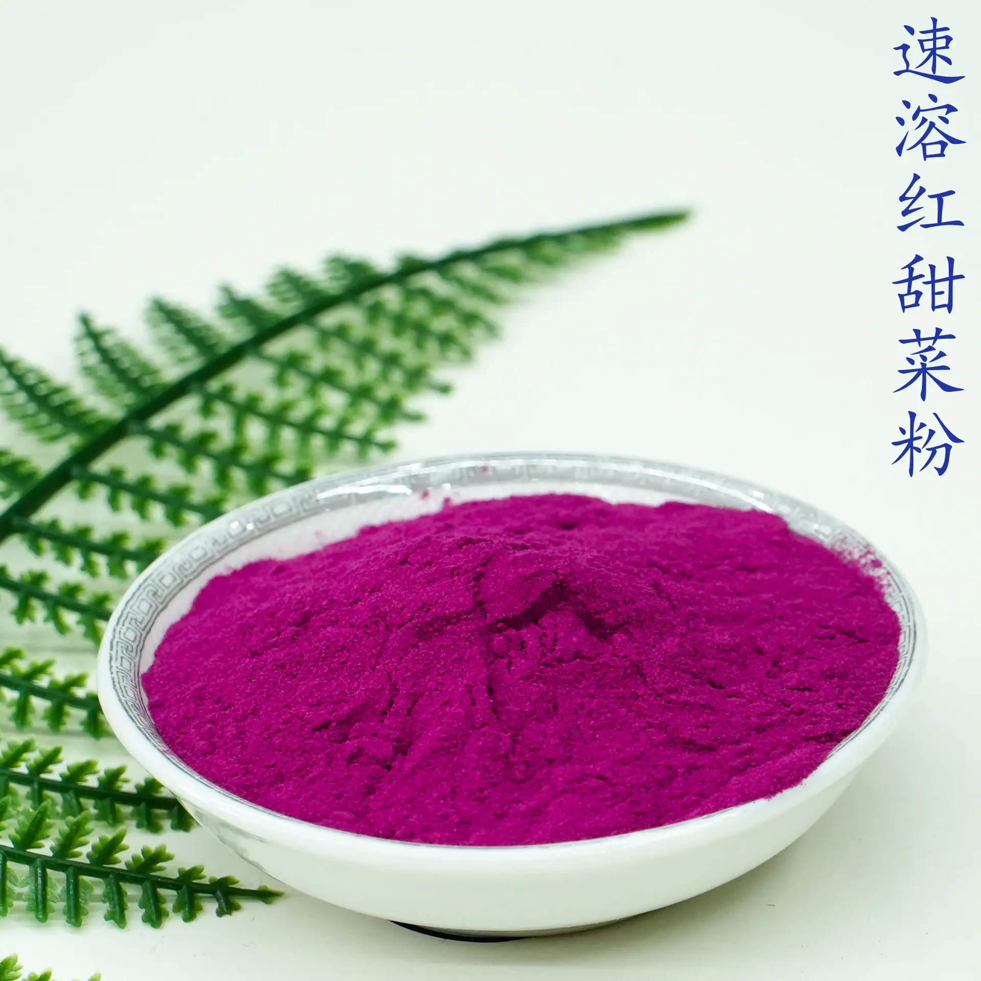 红甜菜粉5.jpg