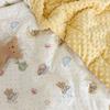 Estilo Coreano Ins Otoño e Invierno Cálido Engrosado Colcha de Primavera y Otoño Algodón de Dibujos Animados para Niños Hilo de Doble Capa Colcha de Frijoles Colcha Individual para Estudiante