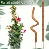 Soporte de Cuerda de Cáñamo y Palo de Palma de Coco para Estilismo DIY Transfronterizo, Doblable y Moldeable, para Plantas Verdes, Jardinería, Trepar, Alambre Deformable