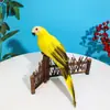 Loro Simulado, Loro, Pájaro Simulado, Decoración Pastoral, Manualidades de Loro con Plumas, Decoración de Jardinería, Pájaros al Por Mayor