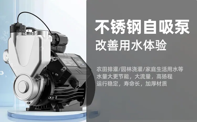 画板 1.png