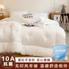 Colcha engrosada de grado A para maternidad e infancia para primavera y otoño para dormitorios universitarios y apartamentos de alquiler, colcha para todas las estaciones, colcha cálida de invierno, núcleo de colcha de regalo