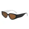Gafas de sol Cat-Eye Europeas y Americanas Transfronterizas Bloque de Color Moda Versátiles Simples para Mujer Gafas con Protección UV