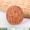 Fruta Seca Plástica Falsa Cacahuates Dátiles Rojos Longan Semillas de Loto Modelo Nacimiento Prematuro de un Hijo Arreglo Adornos Accesorios para Fotografía