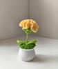 Girasol de Lana Tejida Transfronteriza Acabado Pequeño en Maceta Año Nuevo Festival de Primavera Estudio Escritorio Pequeña Decoración Regalo Día de la Madre