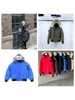 Outono e Inverno Popular Penas de Ganso e Pato 01 Jaqueta Parka de Voo Penugem de Pato Branco Modelo Casal 2025 Novo Produto