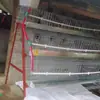 Granja de Jaulas Galvanizadas por Inmersión para Huevos de Pollo, Jaula de Pollo para Huevos por Niveles con 4 Puertas, Juego Completo de Jaula Automática para Pollo con Rodillo de Huevos