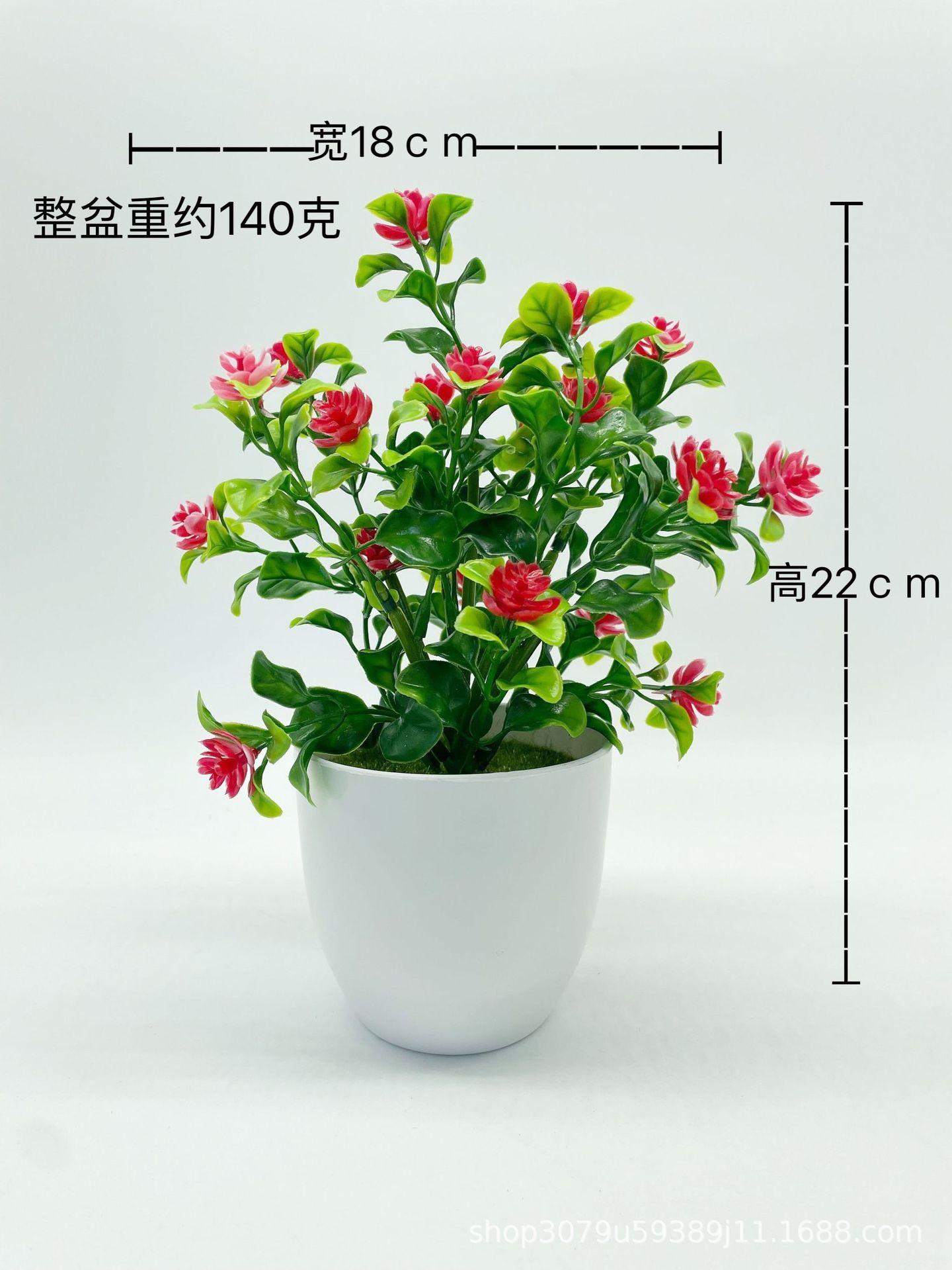 QQ图片20220101171605.jpg