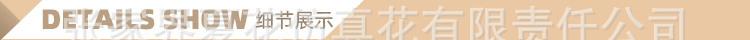 3头豆花紫藤_15.jpg