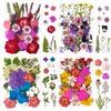 33 Piezas de Combinación con Relieve, Se Pueden Usar para Calcomanías Hechas a Mano, Fundas de Teléfono Secadas con Pegamento, Velas de Aromaterapia, Producción Creativa de Flores, Decoración del Hogar, Regalos de Acción de Gracias y Navidad
