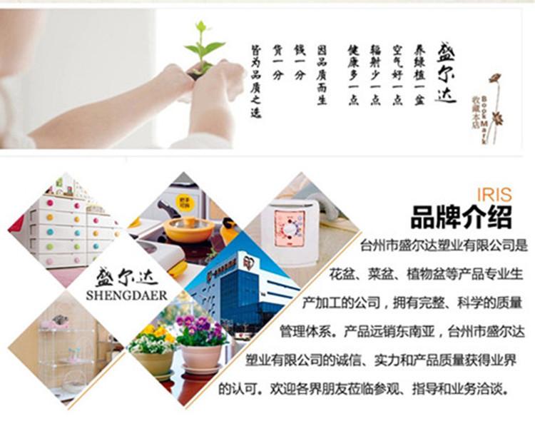 2130723472_1647320389_副本_副本