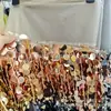 Nuevo Encaje de Encaje con Borlas de Lentejuelas de 18 mm Accesorios Decorativos de Encaje con Borlas Colgantes Transfronterizos Fábrica Suministro Directo