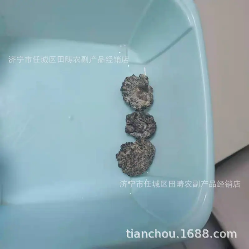 猴脑211