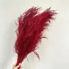 Atacado de Grama Eterna do Fabricante para Casamento e Decoração de Casa DIY Materiais Florais, Grama de Cabelo Longo para Flores de Arte Penduradas