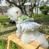 Roupas para Pet Fantasia de Ursinho Bichon Vestido Floral de Empregada Resistente Coleção Roupas de Cachorro com Renda de Princesa