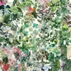 Micro-Tinta Variedade de Adesivos de Flores e Plantas Pet Dupla-Transparência Pintados para Celular Caderno Mala Copo d'Água Adesivos Decorativos