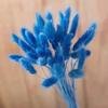 Liquidação E-commerce Transfronteiriço Comércio Exterior Atacado Flores Secas Coloridas Tingidas Capim Rabo de Coelho Arranjo de Flores para Vaso de Pequeno Buquê DIY Combinação