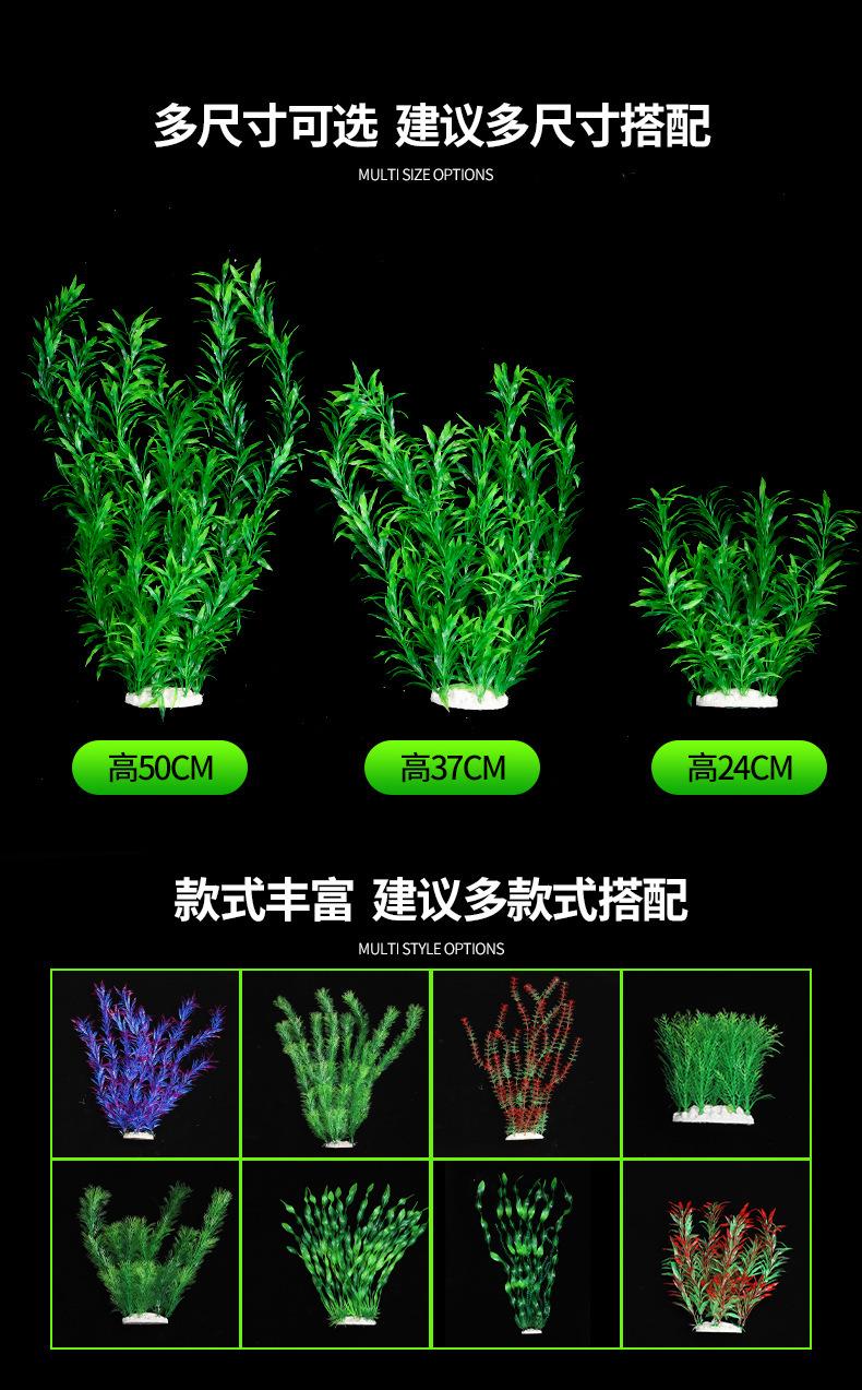 水草1_02.jpg