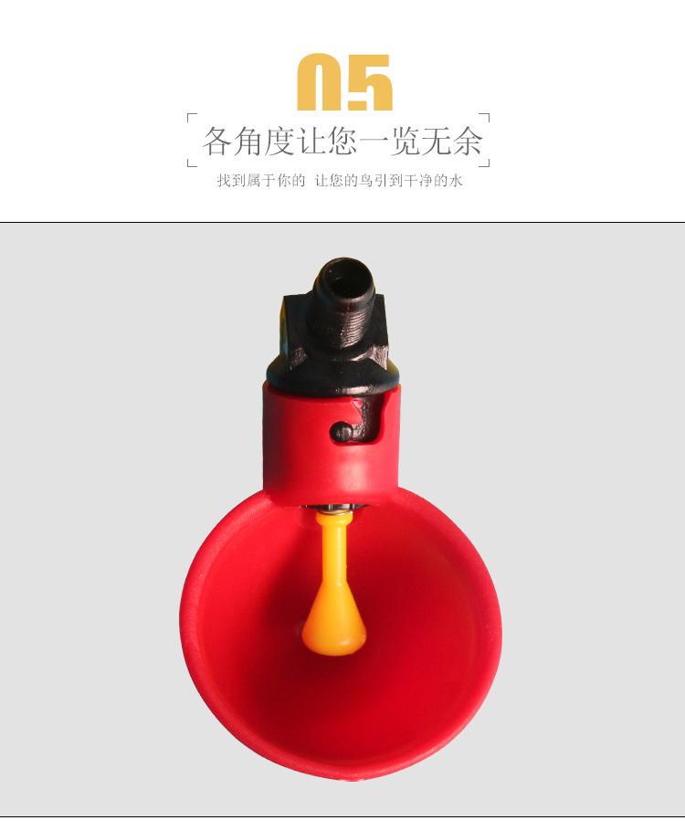 小红碗详情_10