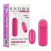 Huan Guo Vibrador Gêmeos Controle Remoto Elétrico Dispositivo de Masturbação Ueb Vibrador de Choque Forte Produtos para Saúde Sexual de Adultos