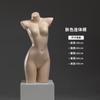 Estante de Exhibición para Modelo de Ropa Interior Medio Torso Sujetador Sujetador Cuerpo Humano Falso Accesorios Tienda de Ropa Ropa Interior para Mujer Hombre Modelo de Cadera Cuerpo Completo