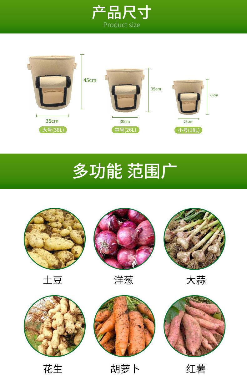 15269332833_1366879852