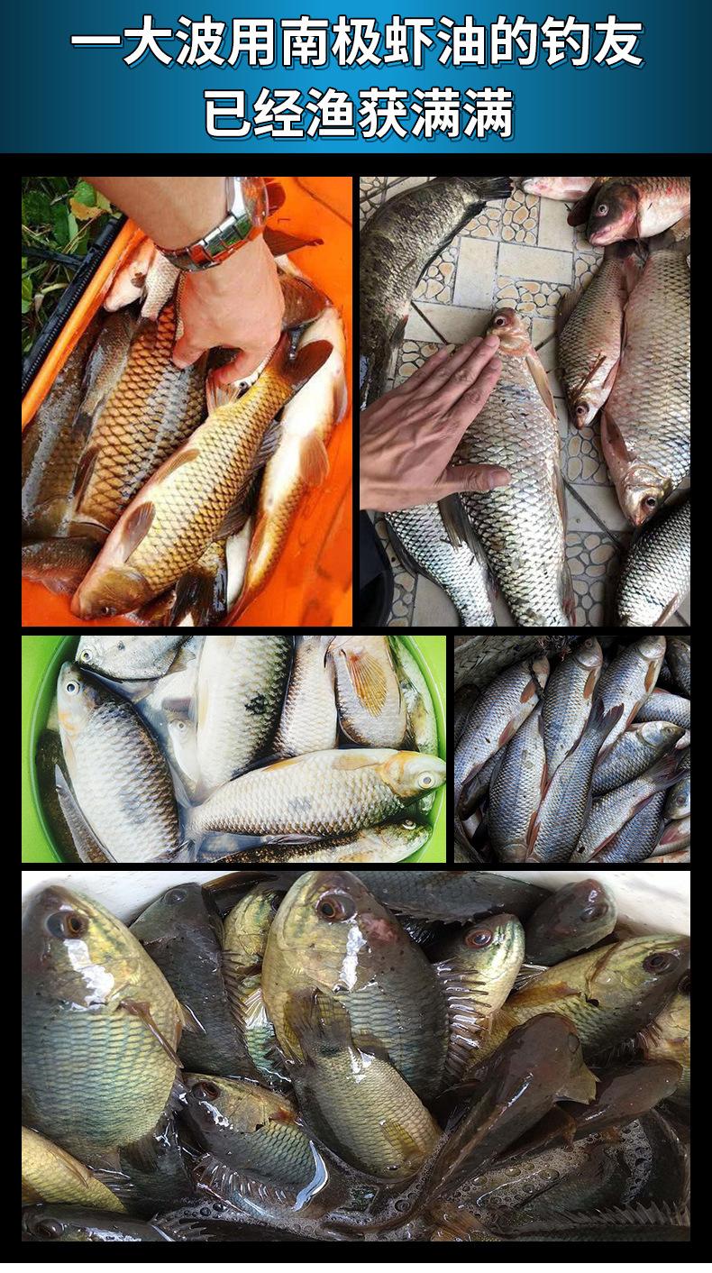 南极虾油_14.jpg