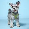 Arnés para Cachorros para Corgis, Arnés Ultraligero y Transpirable Estilo Chaleco Correa para Perro, Arnés y Correa para Perro