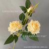 Arranjo de Casamento Rosa Veneziana Europeia de 3 Cabeças Flores Sala de Estar Rosa Hotel Floral Atacado Simulação