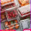 Caja Desechable Engrosada para Frutas y Verduras con Tapa, Caja Transparente de Plástico Comercial para Yaca Sandía Grado Alimenticio Conservadora
