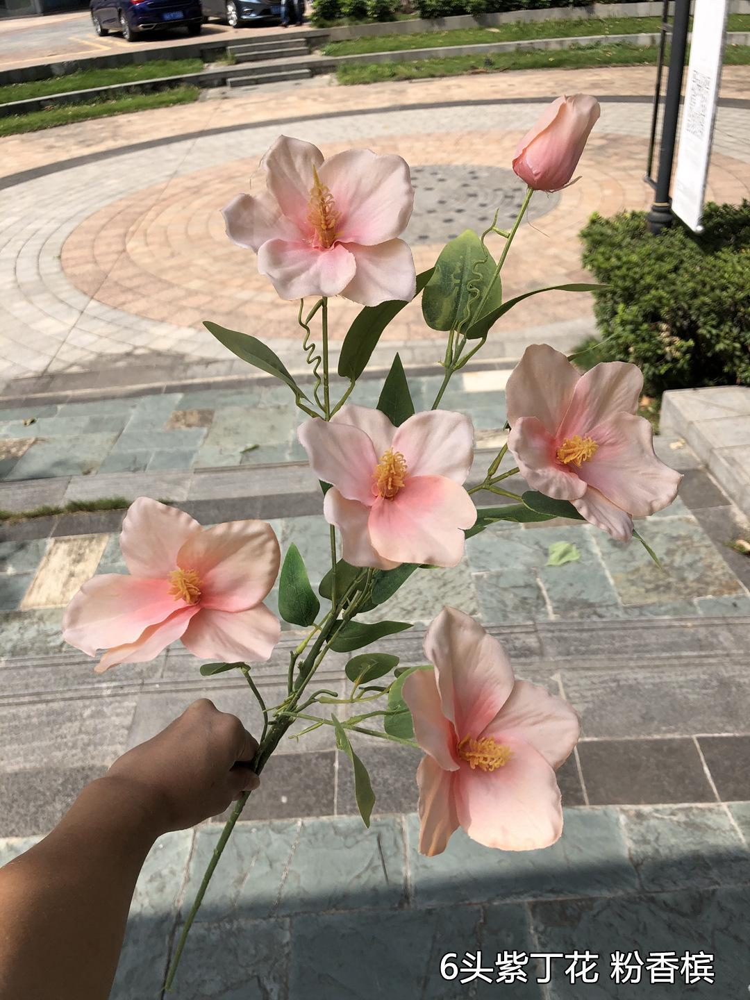 微信图片_20201019125615.jpg