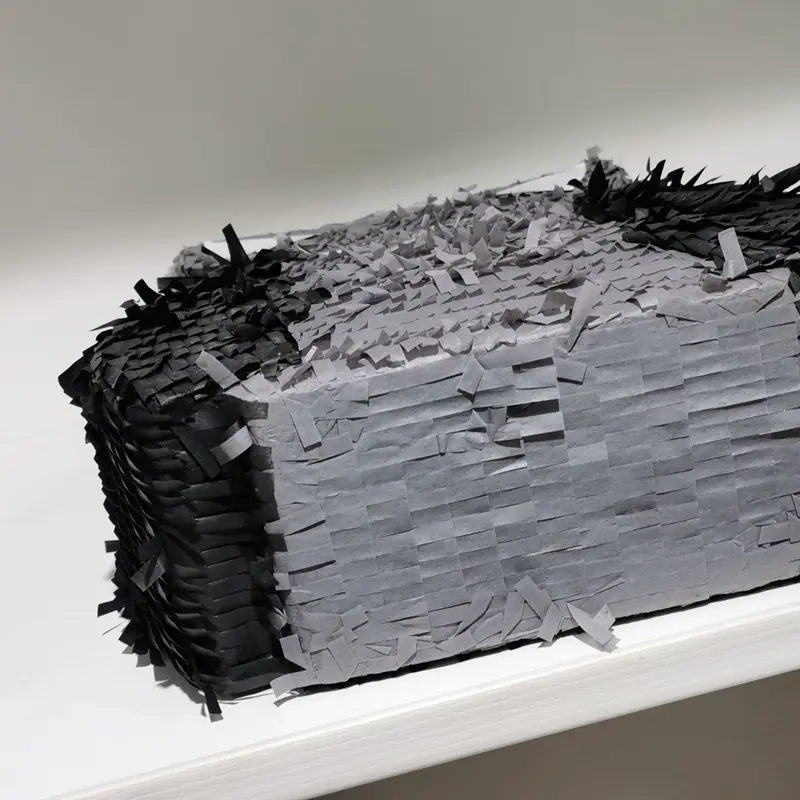 皮纳塔 (366).jpg