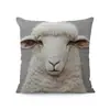 Capa de Alpaca Fofa da Amazon Transfronteiriça Capa de Almofada de Sofá de Pelúcia Curta Macia Almofada Decorativa de Mesa de Cabeceira de Carro