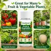 Solução Nutritiva para Plantas de Frutas e Vegetais Kineshinex é Adequada para Hortas Caseiras, Estufas, Plantas em Vasos de Varanda e Cultivo de Frutas e Vegetais