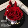 Presente de Dia dos Namorados com Flor Eterna Transfronteiriço para Meninas Amor Ornamentos com Tampa de Vidro Flor de Rosa Acabada Presente Criativo Atacado