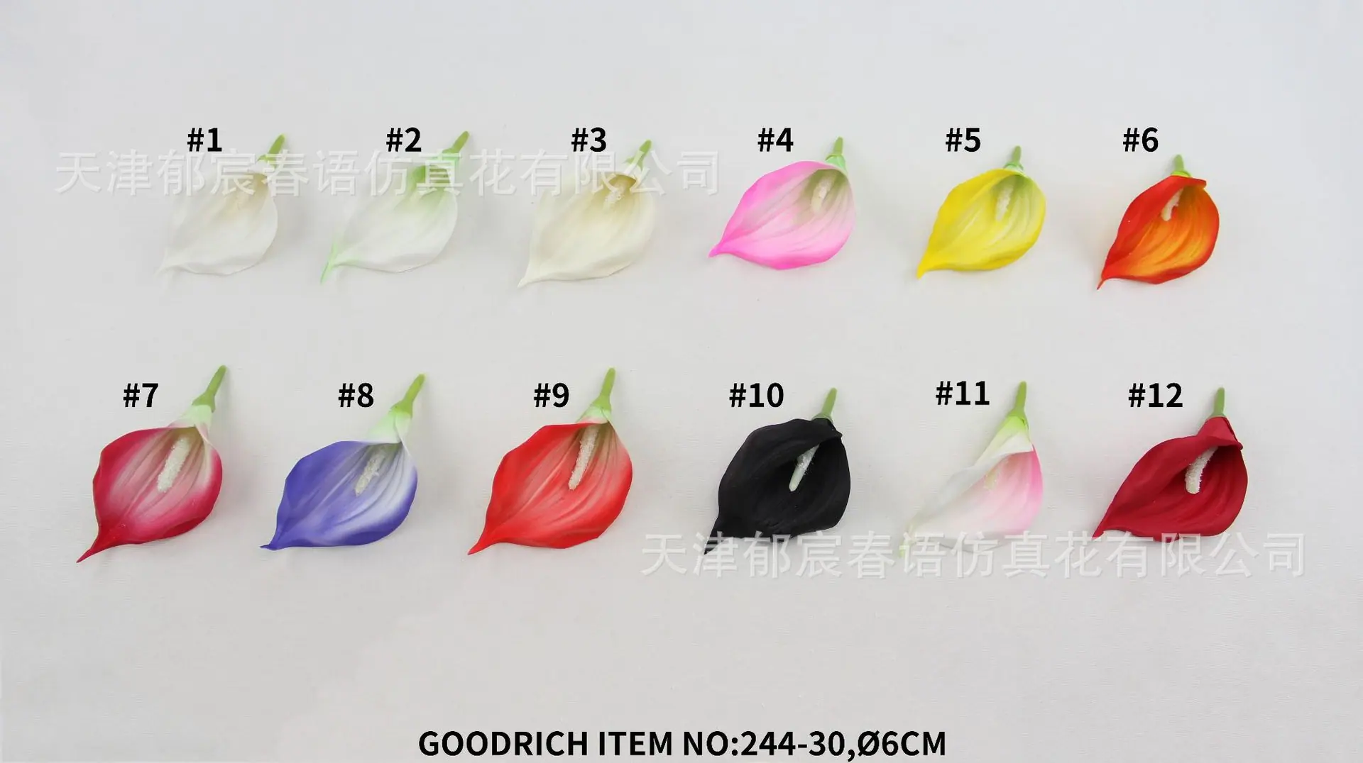 6号.jpg
