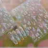 Adesivos para Nail Art Padrão Formiga Gradiente Iridescente Borboleta Fada Adesivos Coração Delicado Feminino Laço Adesivos para Nail Art Yt8685