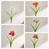 Fiorera Clivia Estilo INS Flores Artificiais para Decoração de Casa Flores Falsas Atacado Buquês de Mão Decorações de Casamento Transfronteiriças