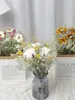Gipsófila Rosa Ramo Seco Real de Año Nuevo Flor Eterna Decoración de Oficina Accesorios para el Hogar Estilo Ins Escandinavo